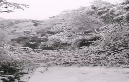 戰(zhàn)暴雪、保供電！湖南發(fā)展鳥兒巢公司應對極端天氣緊急搶修失電故障